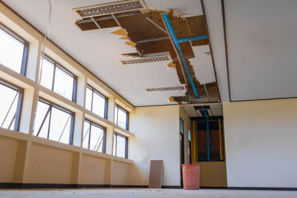 Best Water damage restoration experts  in Russell, PA