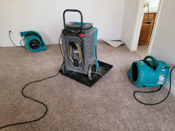 Best Ceiling water damage repair  in Russell, PA