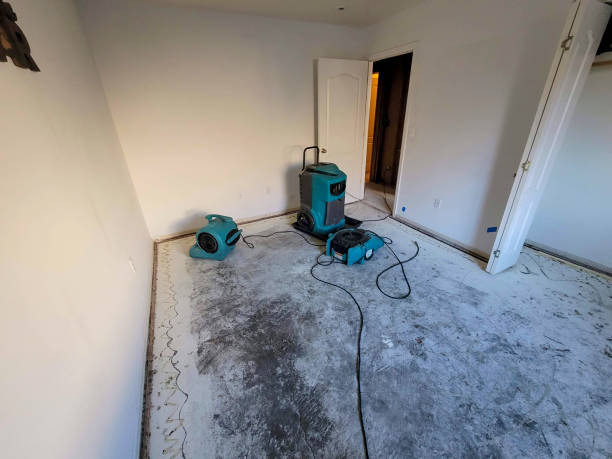 Best Flood restoration services  in Russell, PA