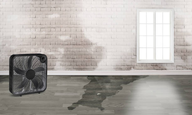 Water damage restoration insurance claims in Russell, PA