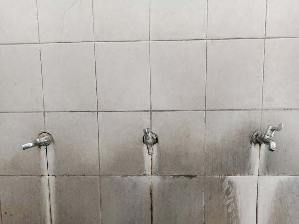 Best Water damage restoration near me  in Russell, PA