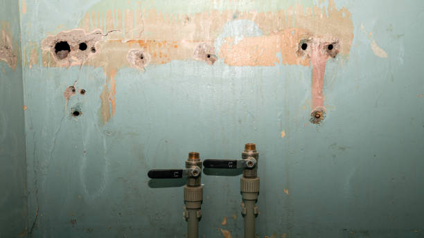 Best Water damage restoration near me  in Russell, PA
