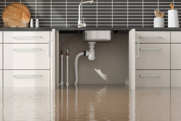 Best 24/7 water damage repair  in Russell, PA