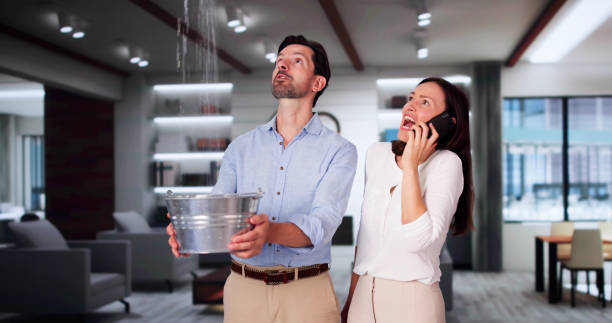 Best Carpet water damage restoration  in Russell, PA